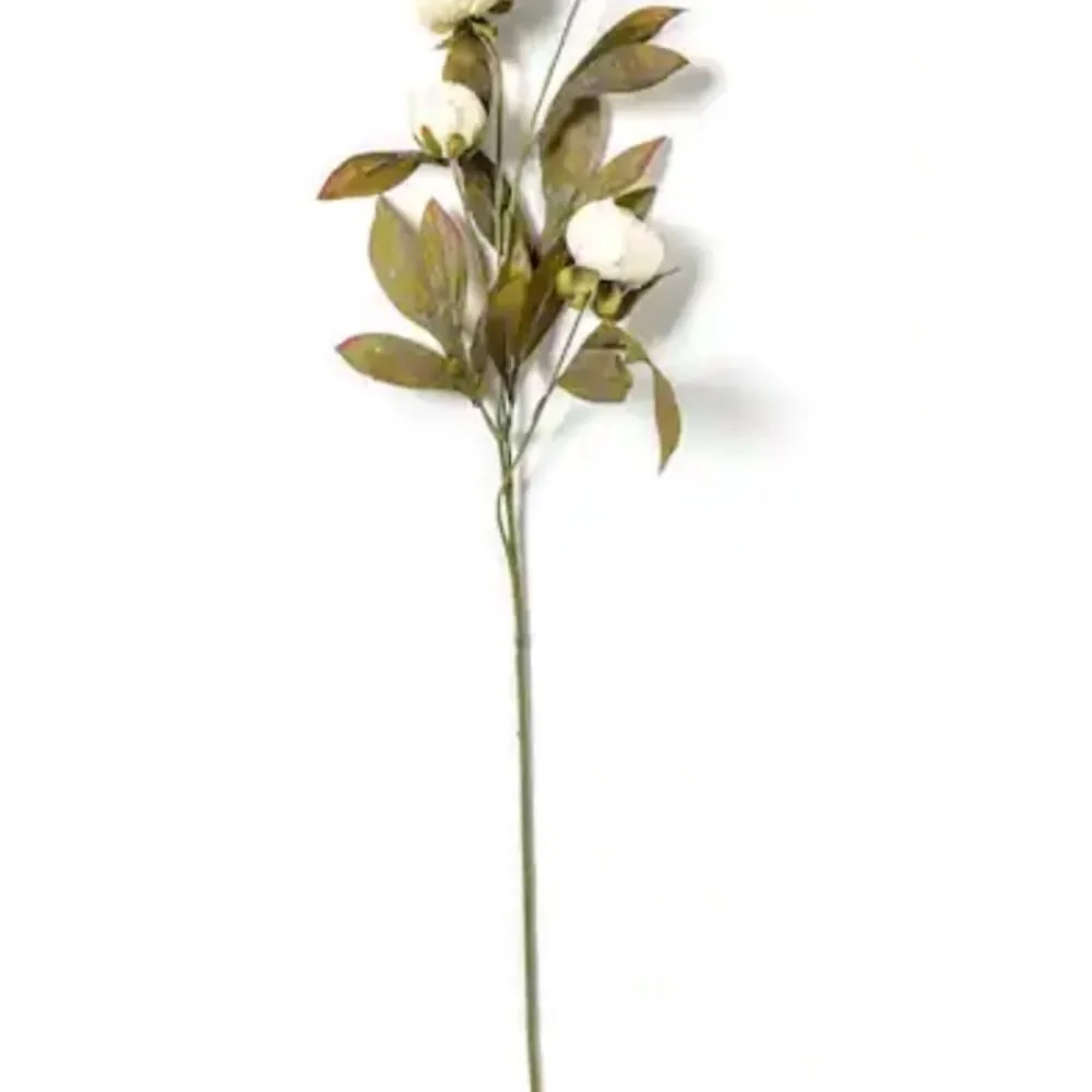Set of 8 Viral Ashland Cream Peony Stems From Michael’s